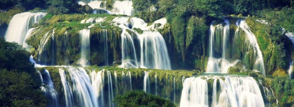 Red Lotus Travel company